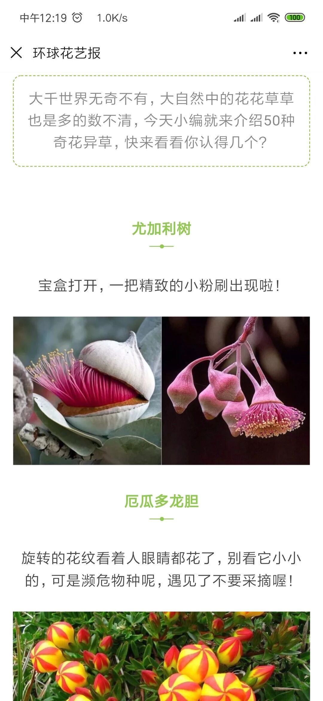 这些奇形怪状的花花草草，你们认识几个呢？