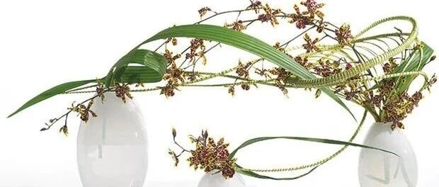 日本花艺师，用三年时间把家改造成男人最向往的样子