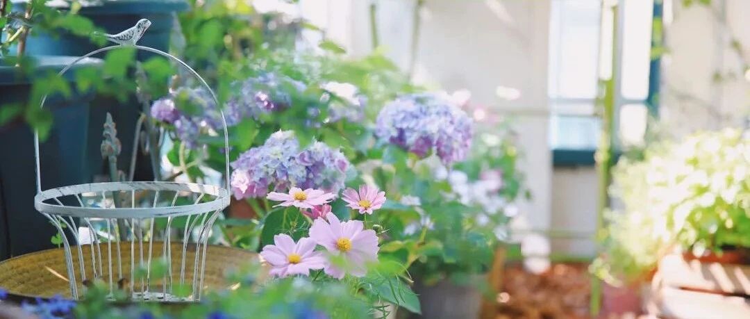 5㎡小阳台，打造治愈系小花园