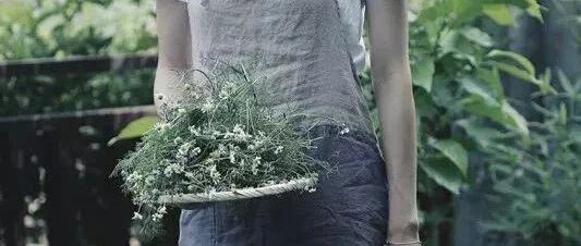 不当环球小姐，她跑到深山，种菜、调香，过上佛系人生。