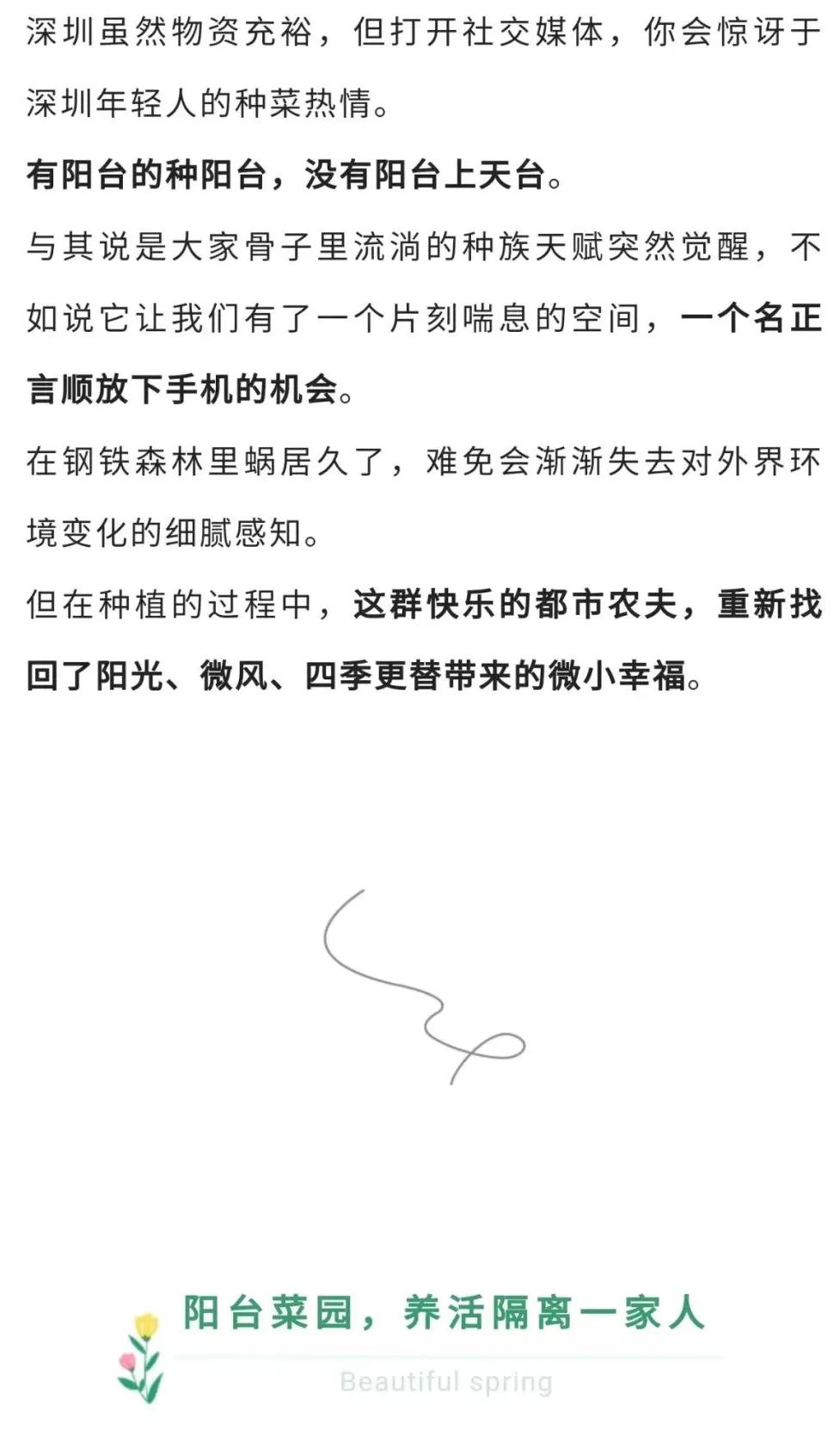 深圳90后阳台种菜火上热搜：仅5.9㎡，养活隔离一家人