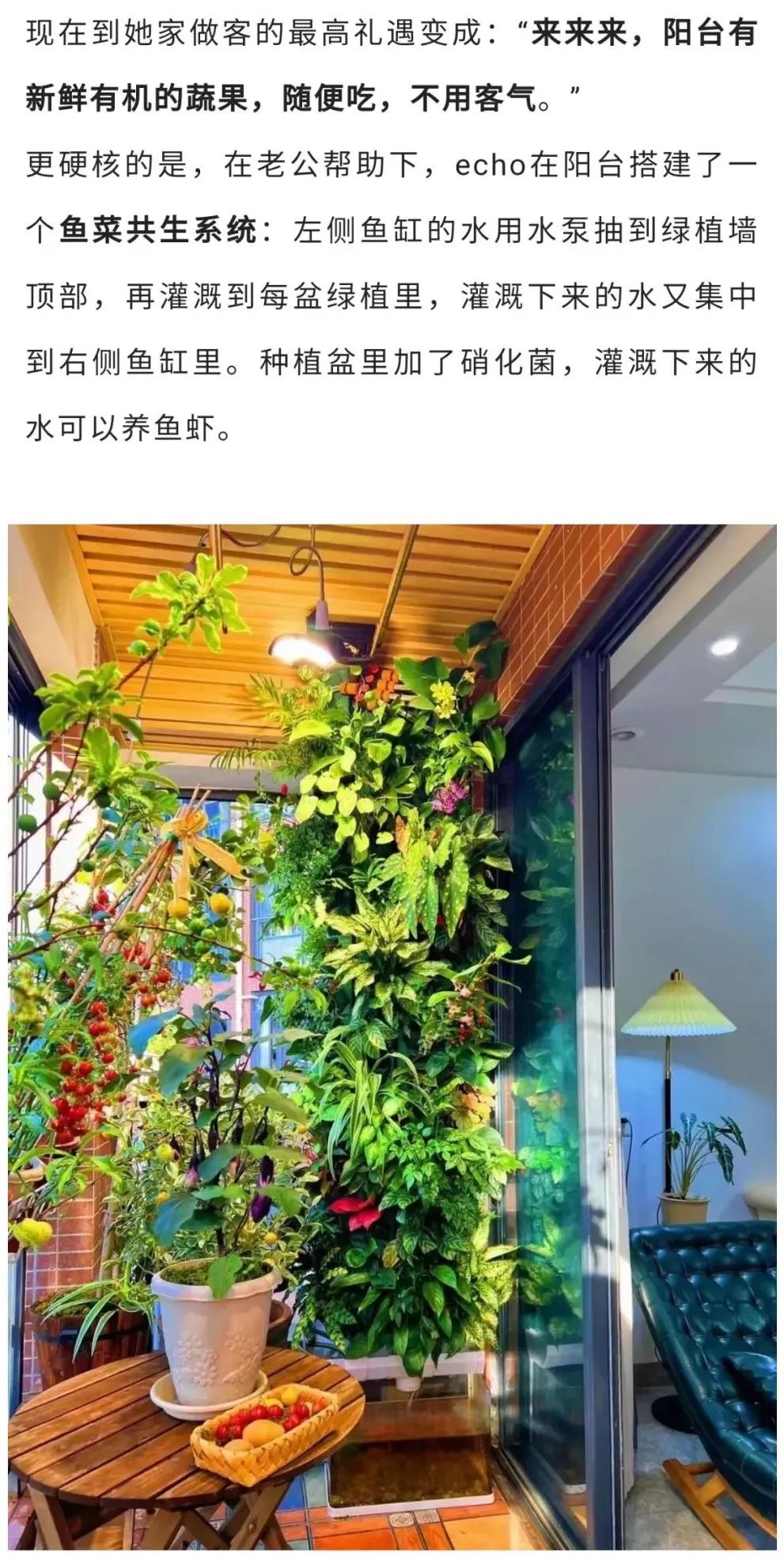 深圳90后阳台种菜火上热搜：仅5.9㎡，养活隔离一家人
