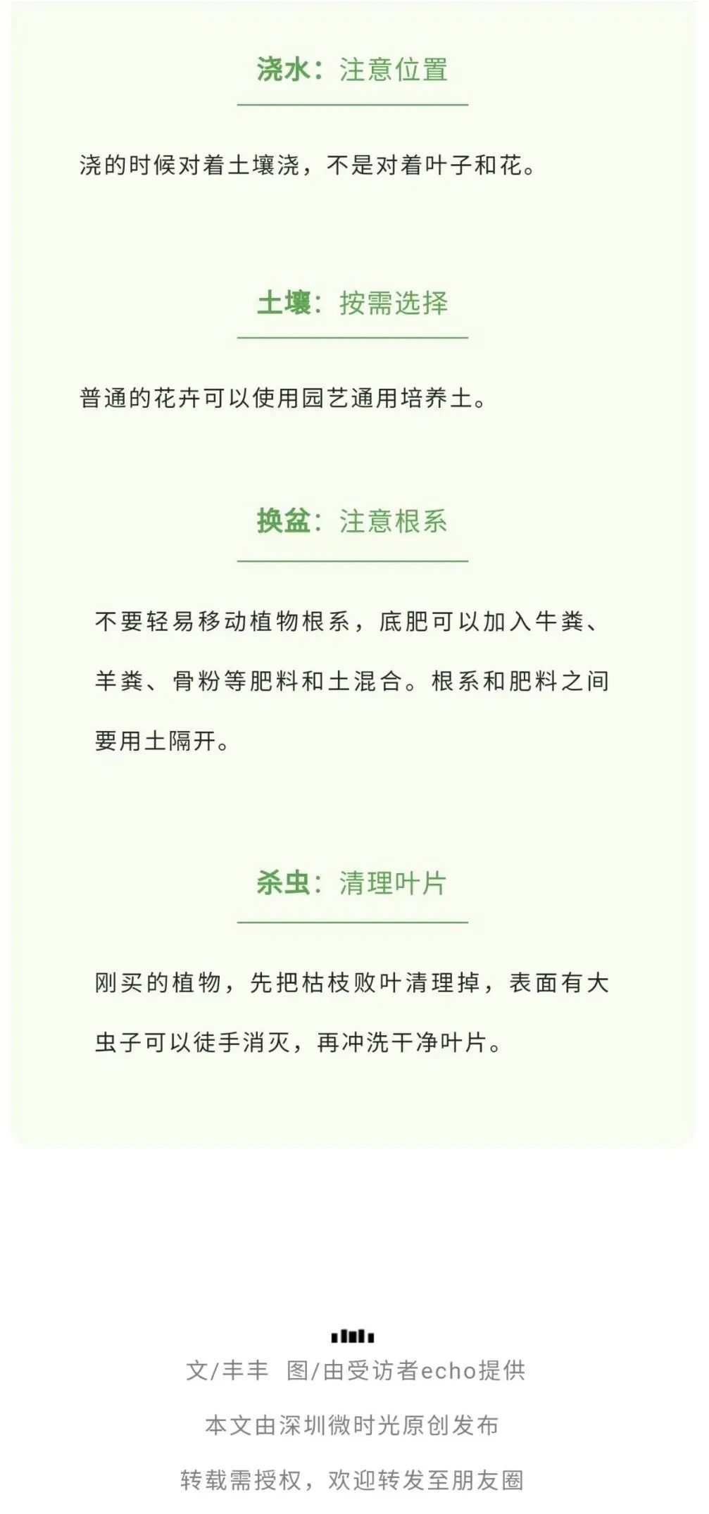 深圳90后阳台种菜火上热搜：仅5.9㎡，养活隔离一家人