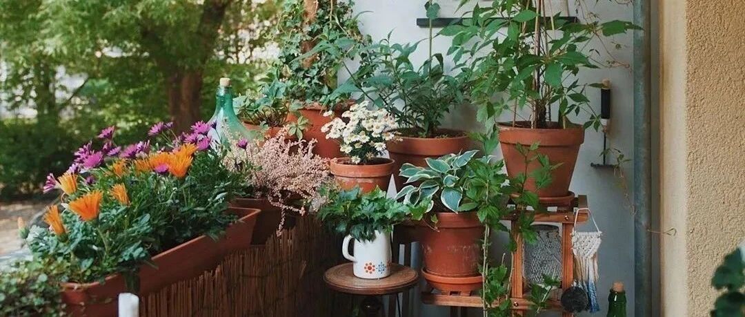 花最少的钱，打造最美的阳台小花园