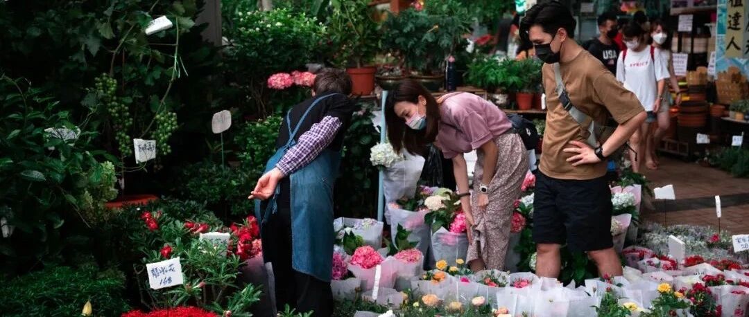 过年家里要摆这些花才有好兆头！喜庆又旺财！