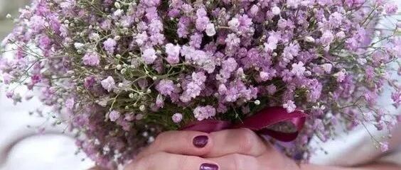 满天星|以配角的姿态，默默爱着你