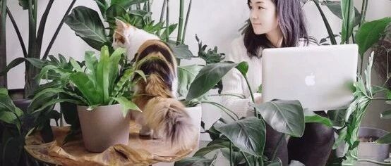 【改造家】她花15万用60株绿植，在家里打造出一片小森林！