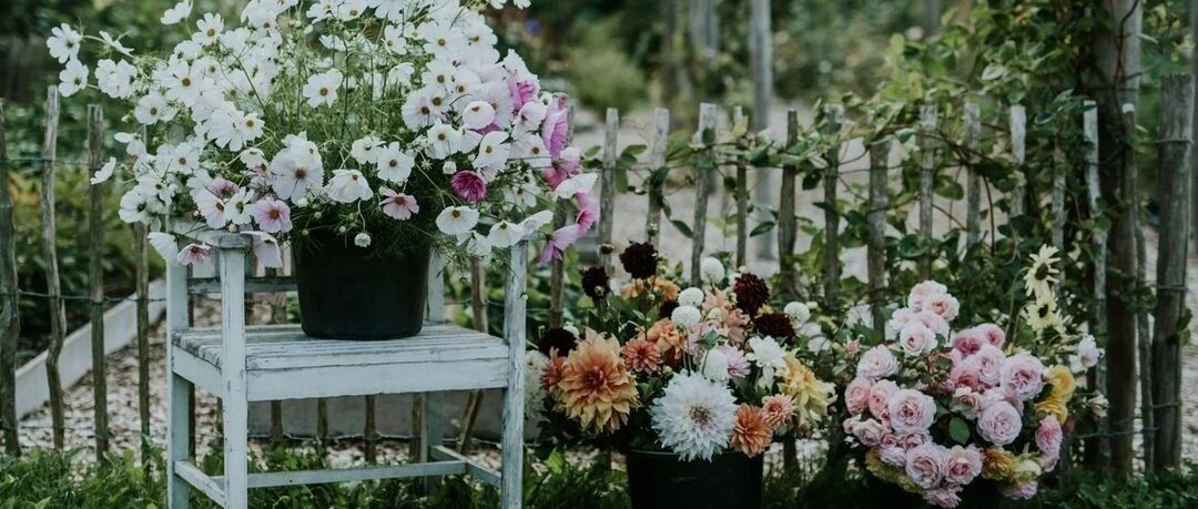 3年时间，设计改造72㎡露台，把屋顶装出了别墅花园的感觉