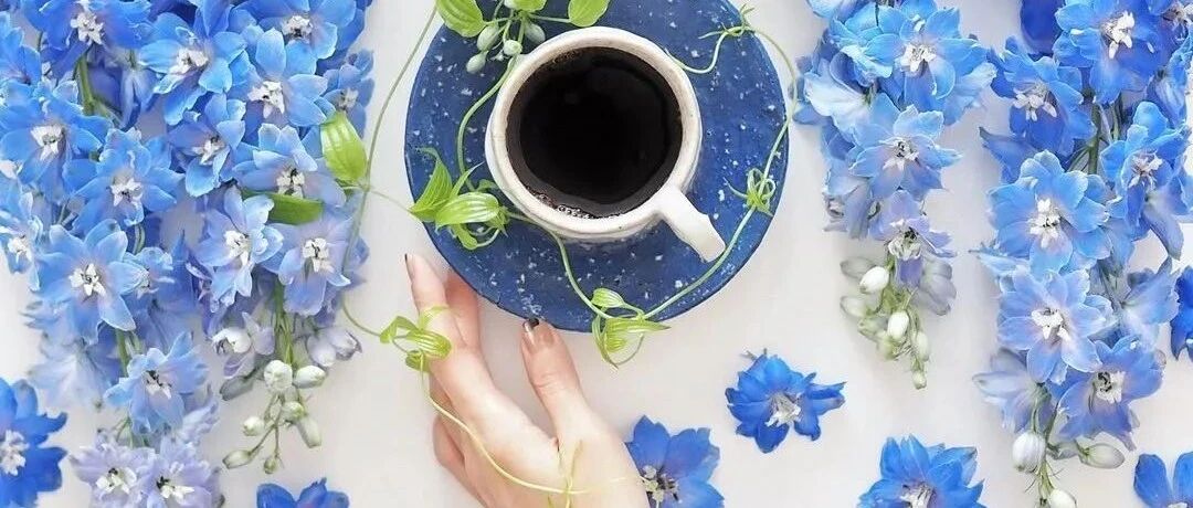 世界上最好的长寿生活方式：沾花惹草