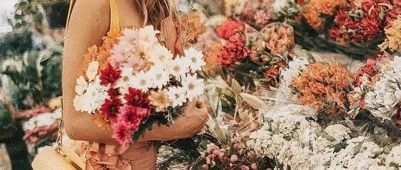 七夕为什么送花，告诉你五个理由