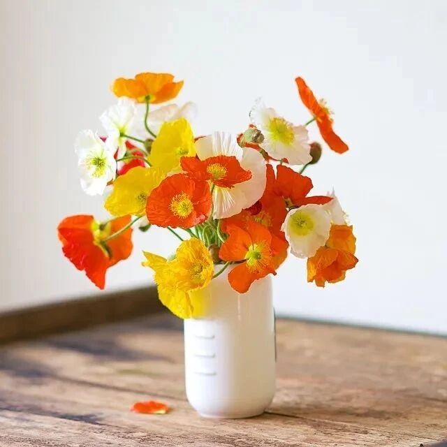 冬日一瓶桌花，整个家都会充满诗意了