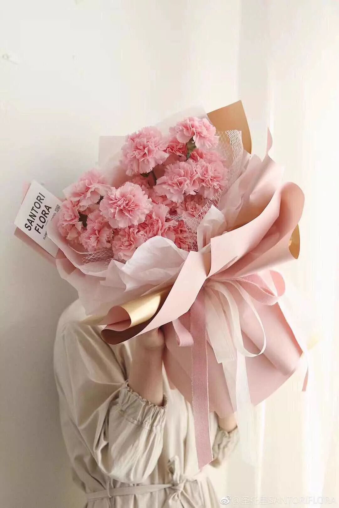 3.8女神节要到了，该送什么花好呢？