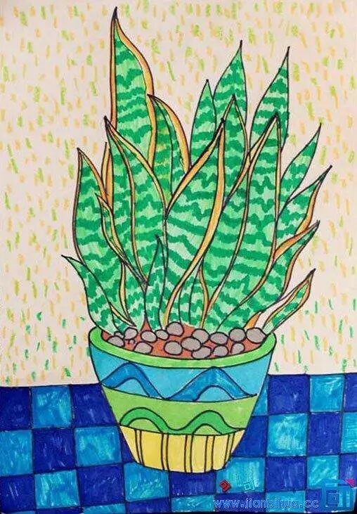 夏季养花正确的正确“姿势”，赶紧收藏！