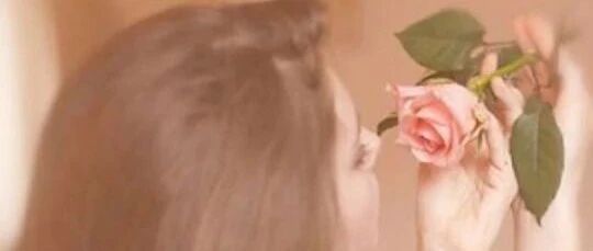 怎么拍怎么美！长沙四家高颜值花店，没来过肯定后悔......