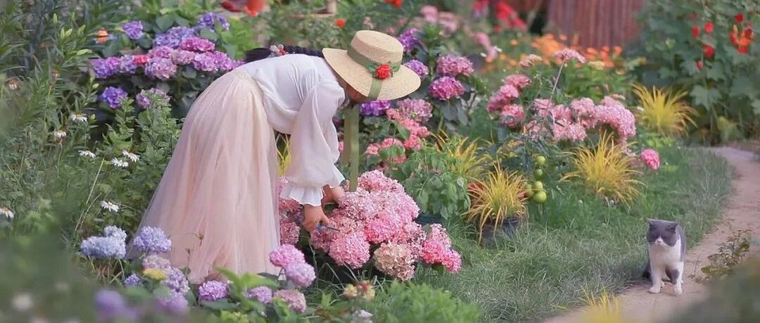她3年时间爆改老宅，把门前荒地变成花海，这才是向往的田园牧歌。