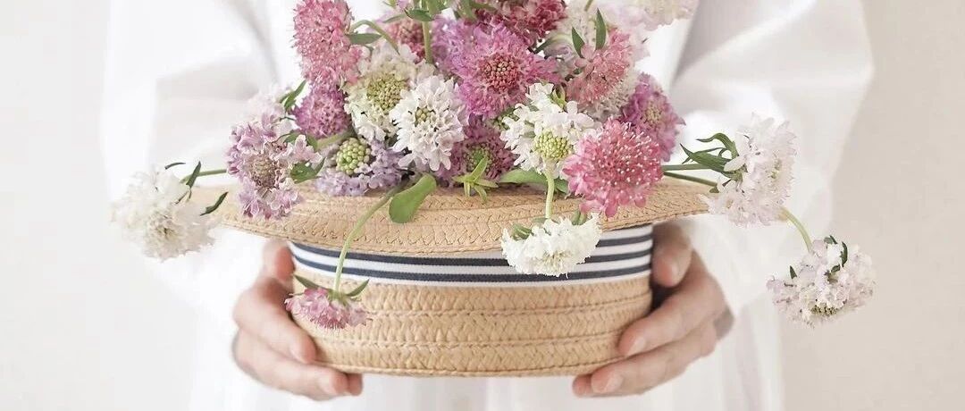 家里放瓶花，让你的家比花店还美！