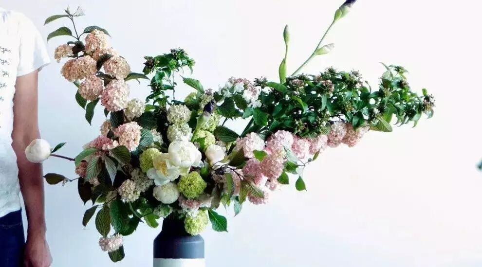 人家的绿萝吊兰都长成“土豪”了，你家的还是“贫困户”？