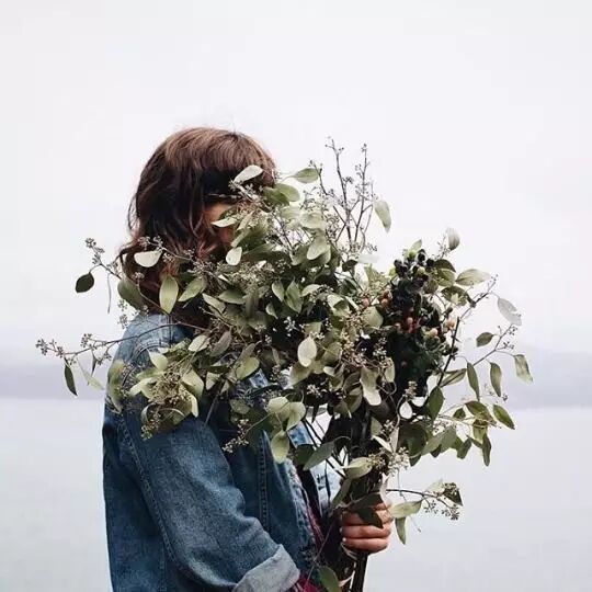 新装修的房子，两种花一起种，吸甲醛更快