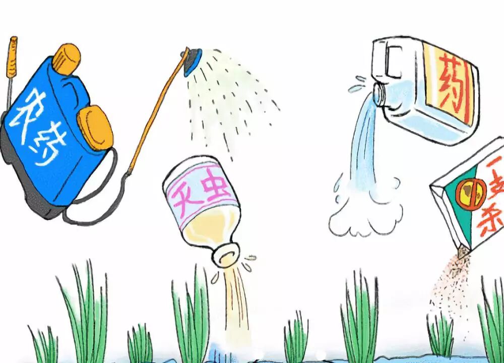 化肥袋上的"骗术" 你都了解吗?