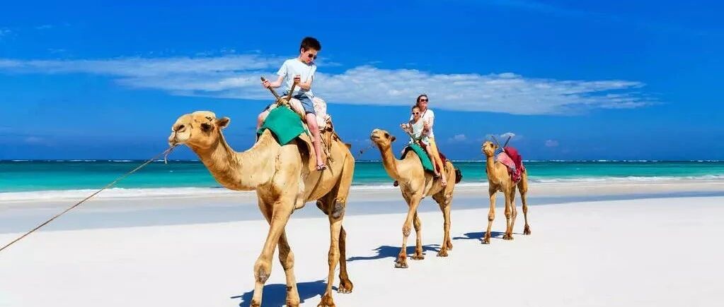 北交所一周盘点：路斯股份上市首日成交额创年内新股最低 天润科技过会