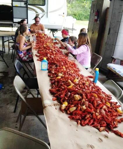 活小龙虾肉质松散是什么原因_小龙虾肉质松散是什么原因_小龙虾肉质松散是死虾吗