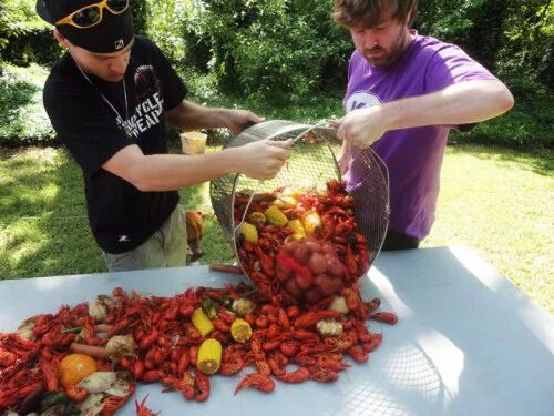 活小龙虾肉质松散是什么原因_小龙虾肉质松散是什么原因_小龙虾肉质松散是死虾吗