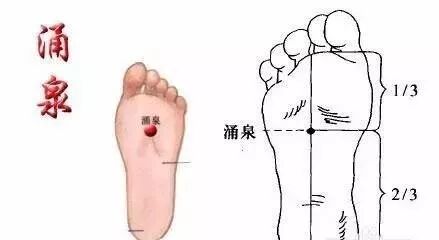 灸透这两大穴位，打通全身经络！|养生知识-南阳宛艾产业协会