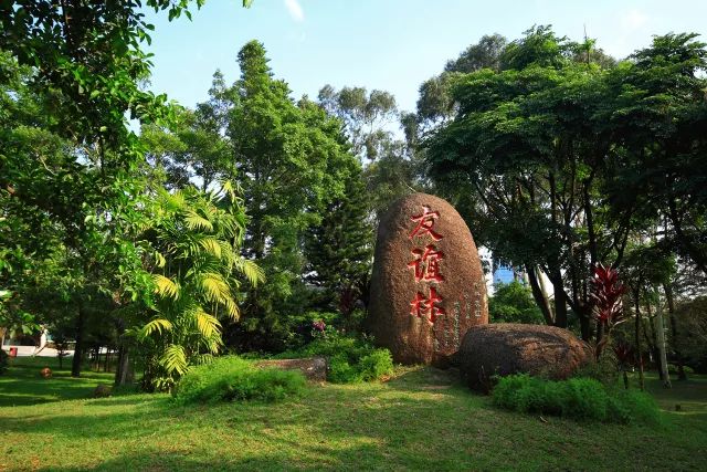 计算机类全国排名学校_计算机排名全国学校前十_计算机学校全国排名