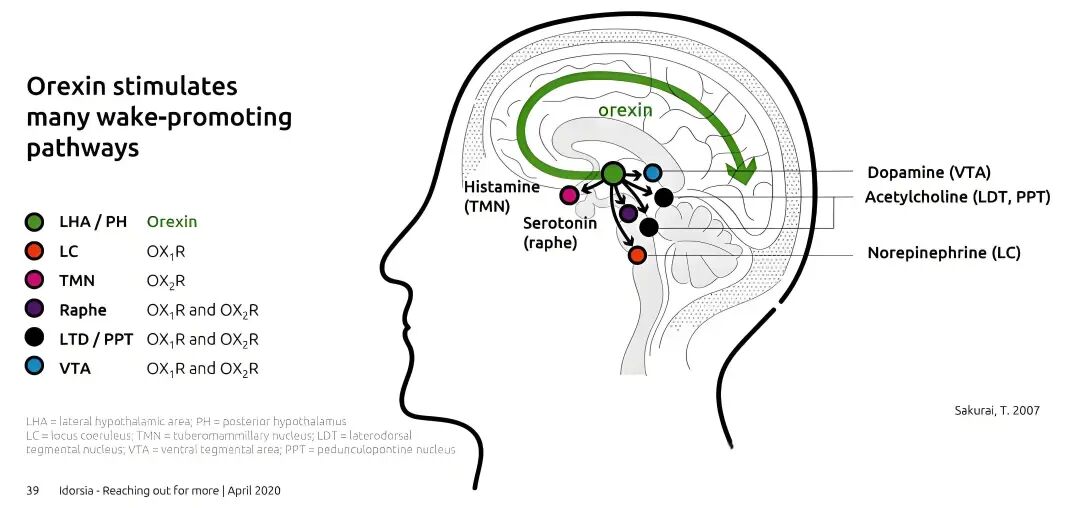 第四代抗失眠药达利雷生(Quviviq，Daridorexant)获指南最优推荐，可长期服用，疗效如何？怎么购买？(图3)