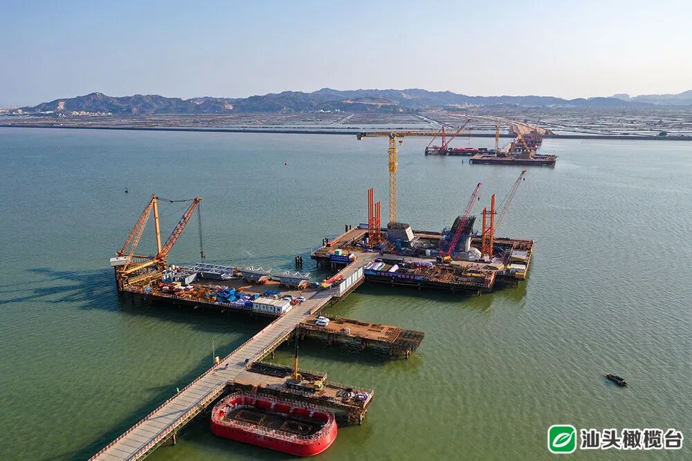 牛年牛快干劲足牛田洋快速通道项目进入攻坚建设年