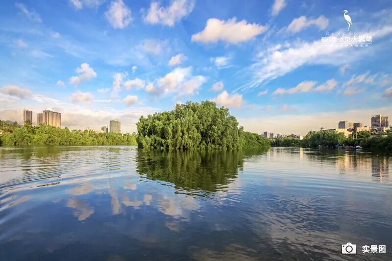 一看就会（房地产展览会）2020年北京房地产展会，(图17)