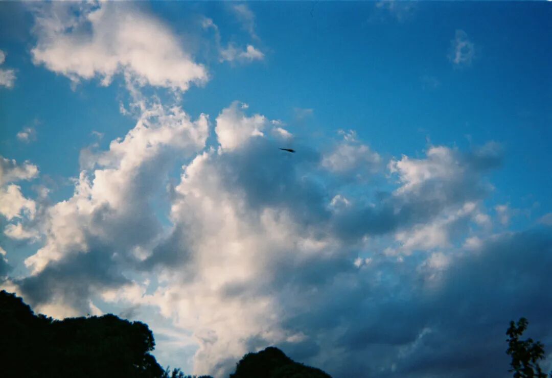 胶卷图片 胶片照片的另外一个重要性