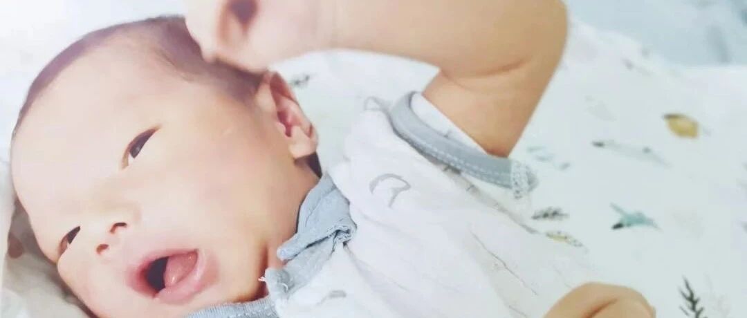 龙老师原创视频 | 小牛牛宝贝和大家见面啦