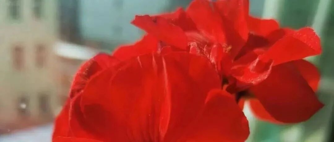 生活感悟：一个人绝顶聪明到底好不好？