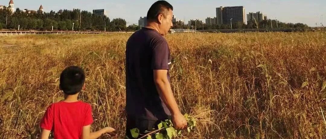 亲子互动：被儿子将一军的爸爸