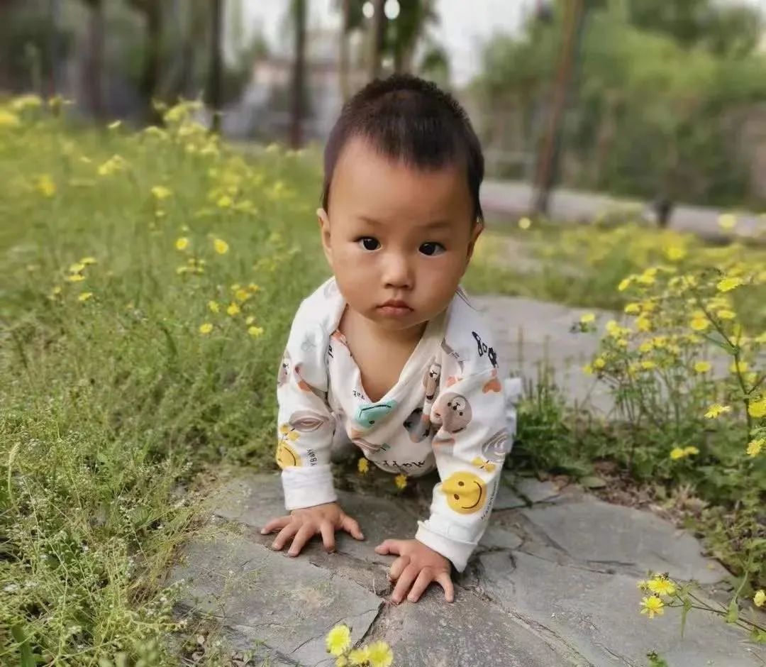 龙老师原创文章：孩子走路晚，却被骂笨蛋，最该被骂的不应该是孩子