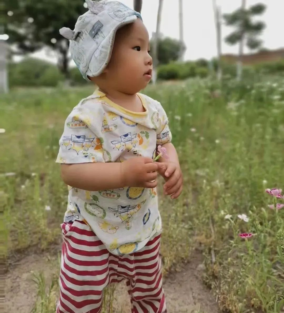 龙老师原创文章：孩子走路晚，却被骂笨蛋，最该被骂的不应该是孩子