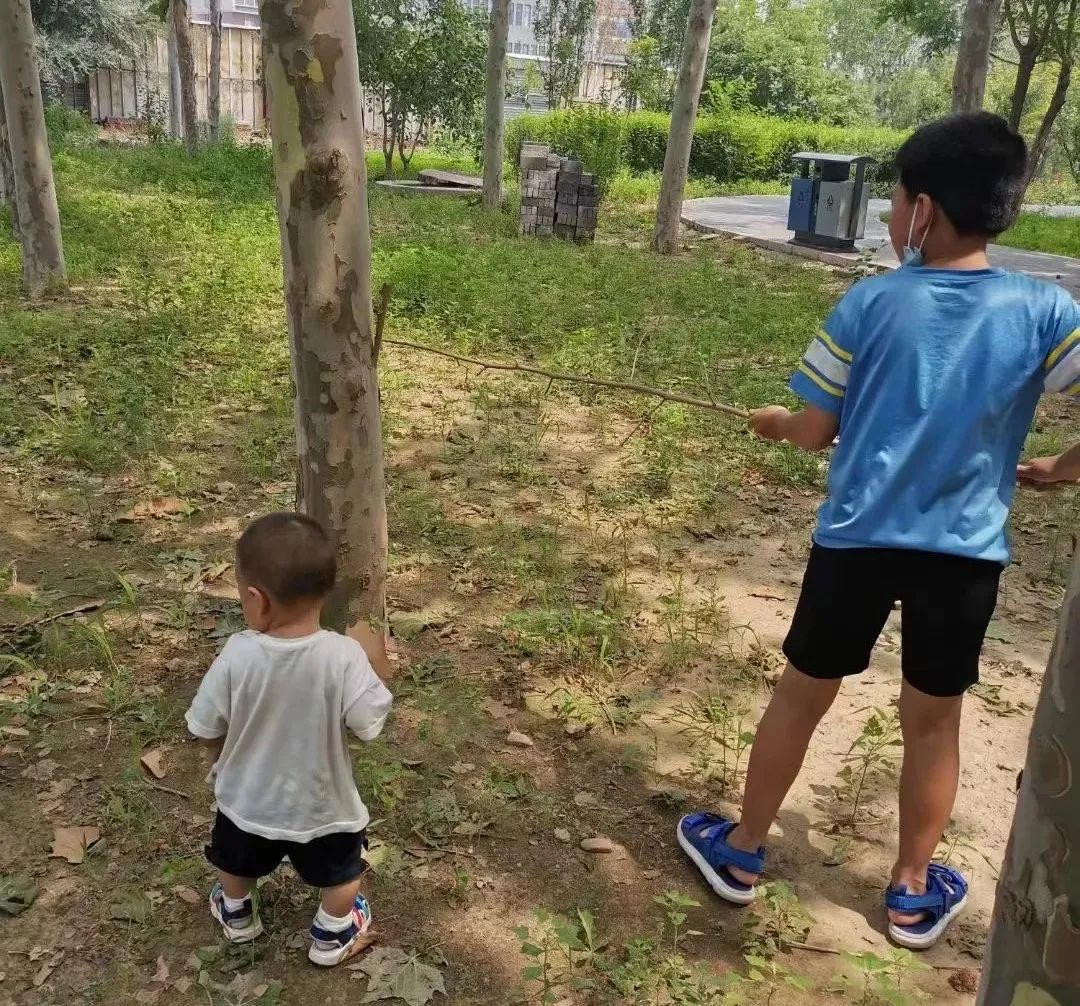龙老师原创文章：孩子走路晚，却被骂笨蛋，最该被骂的不应该是孩子