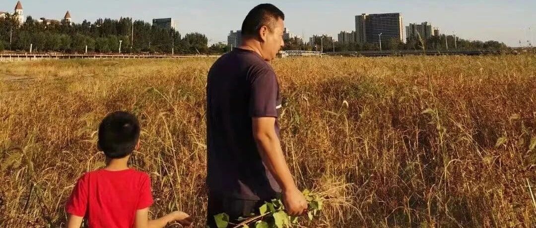 亲子互动：探讨找女朋友，儿子的一个比喻道出了真相