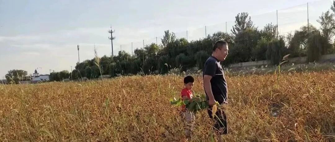 亲子互动：写作业，鸡飞狗跳的父子变身父慈子孝