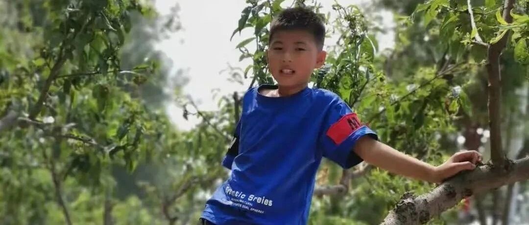 龙老师原创：要什么就得买什么——“适当性满足”培养懂节制的孩子