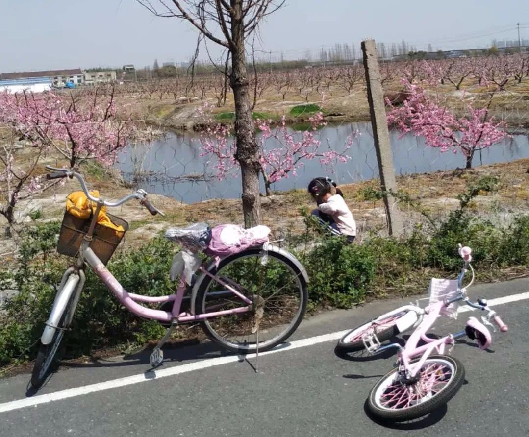 化解親子情緒危機，媽媽可以這樣做 親子 第3張