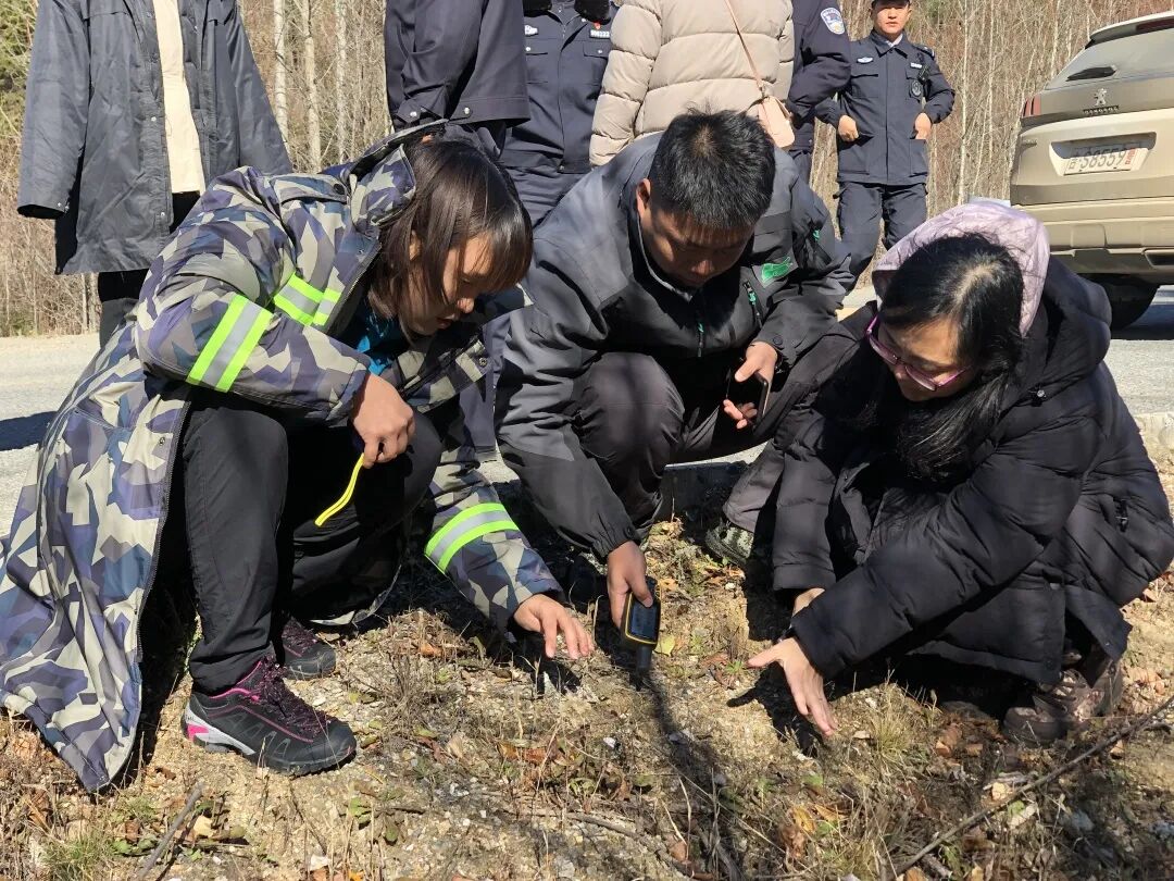 沉浸式探秘东北虎栖息地 全网搜