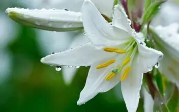 一周減肥食譜_減肥食譜周一至周日_減肥食譜周計(jì)劃