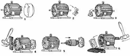 三相异步电动机的的拆装的图2