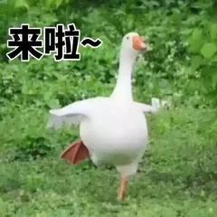 漫画女神穿搭模板!懒人照着穿,好看到犯规!-微信头条网 漫画女神穿搭模板!懒人照着穿,好看到犯规!