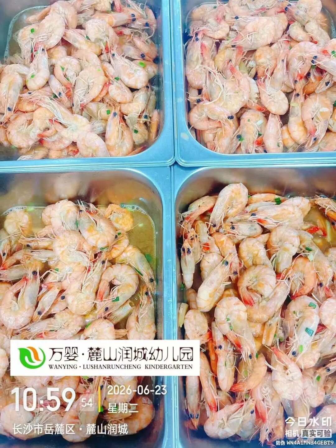 dd80521987cbda281a6c05d1d3c63364.jpg