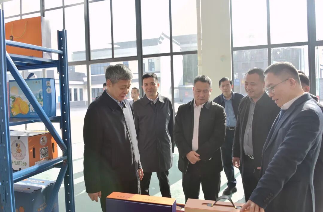 严华在新宁县邵阳县调研春耕备耕、企业发展、项目建设等工作(图1)