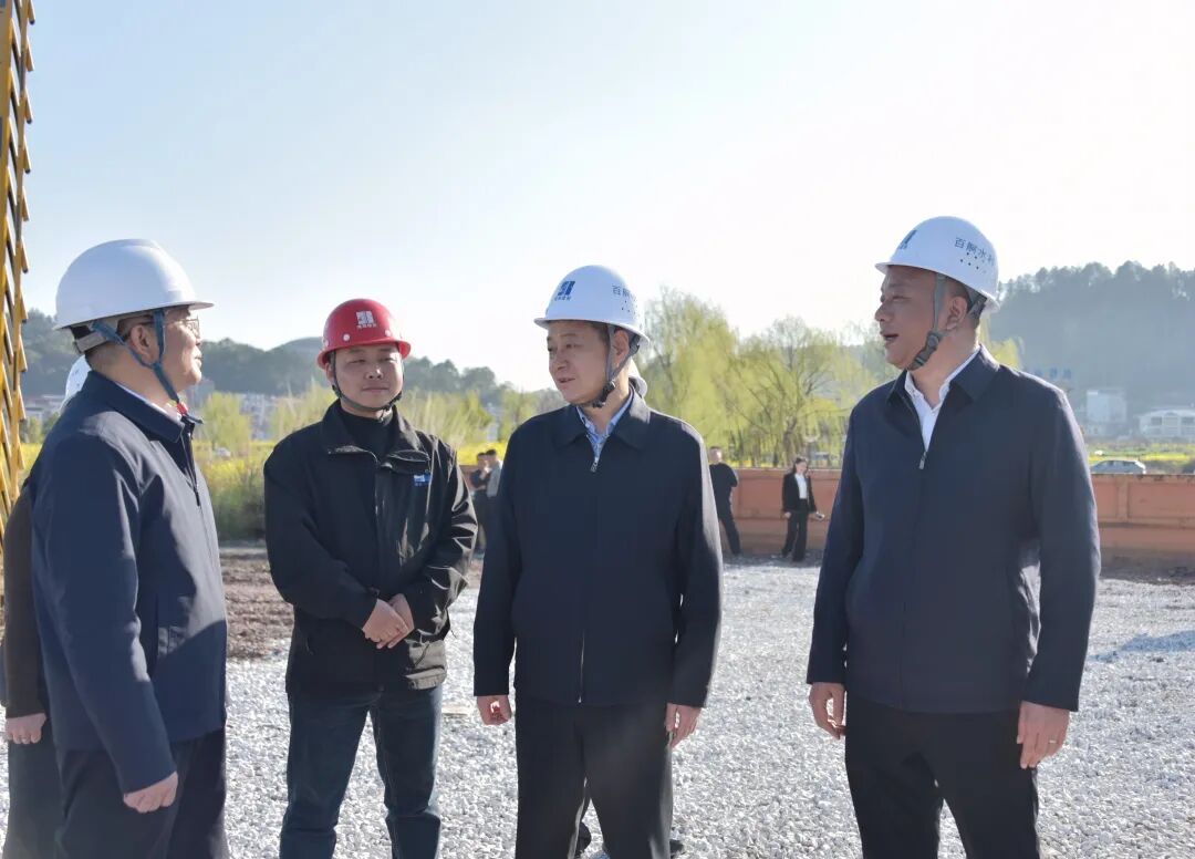 严华在新宁县邵阳县调研春耕备耕、企业发展、项目建设等工作(图2)