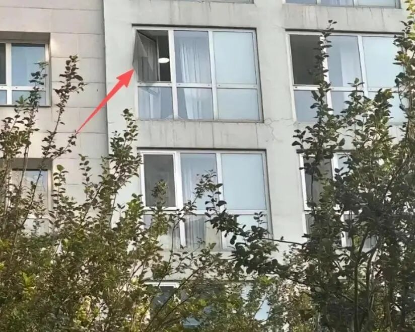 疑似于朦胧助理发文